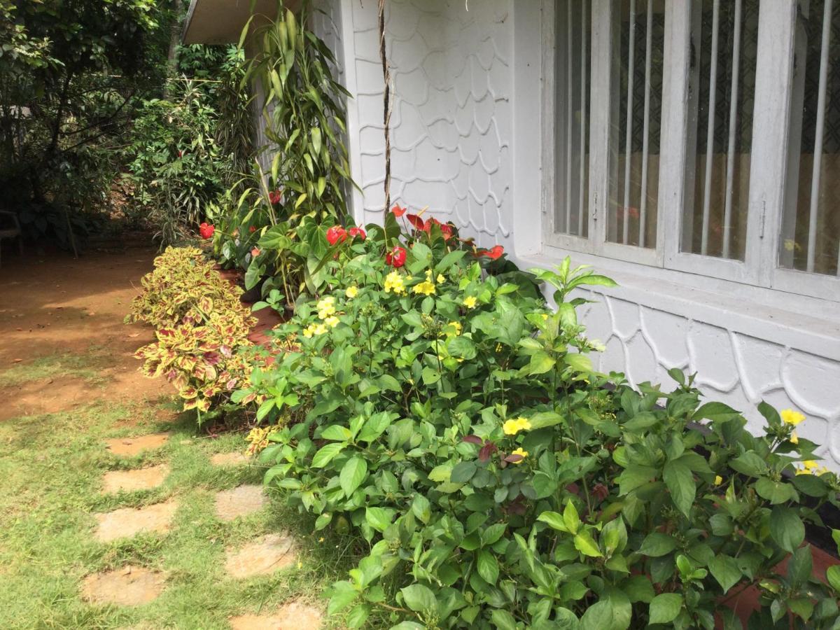 Ella Relax Inn Luaran gambar