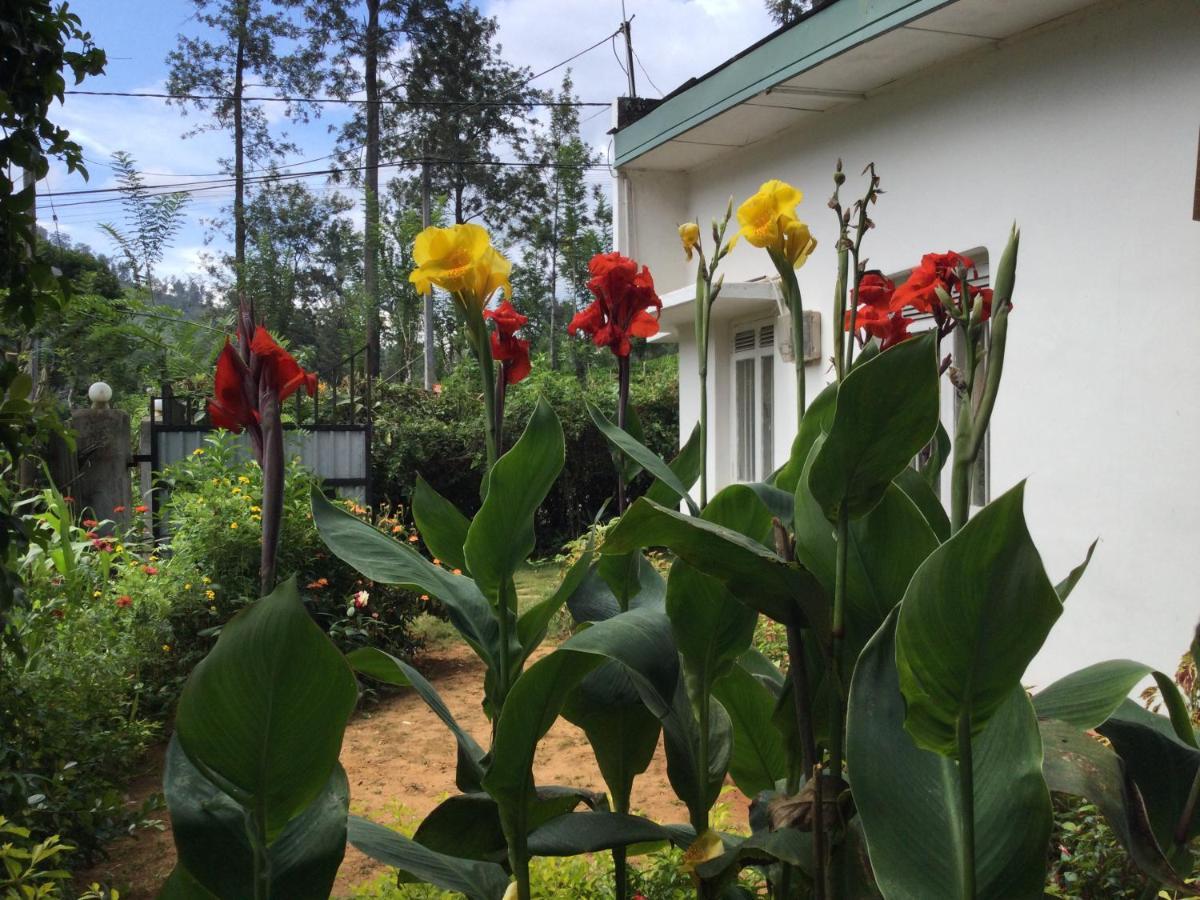 Ella Relax Inn Luaran gambar