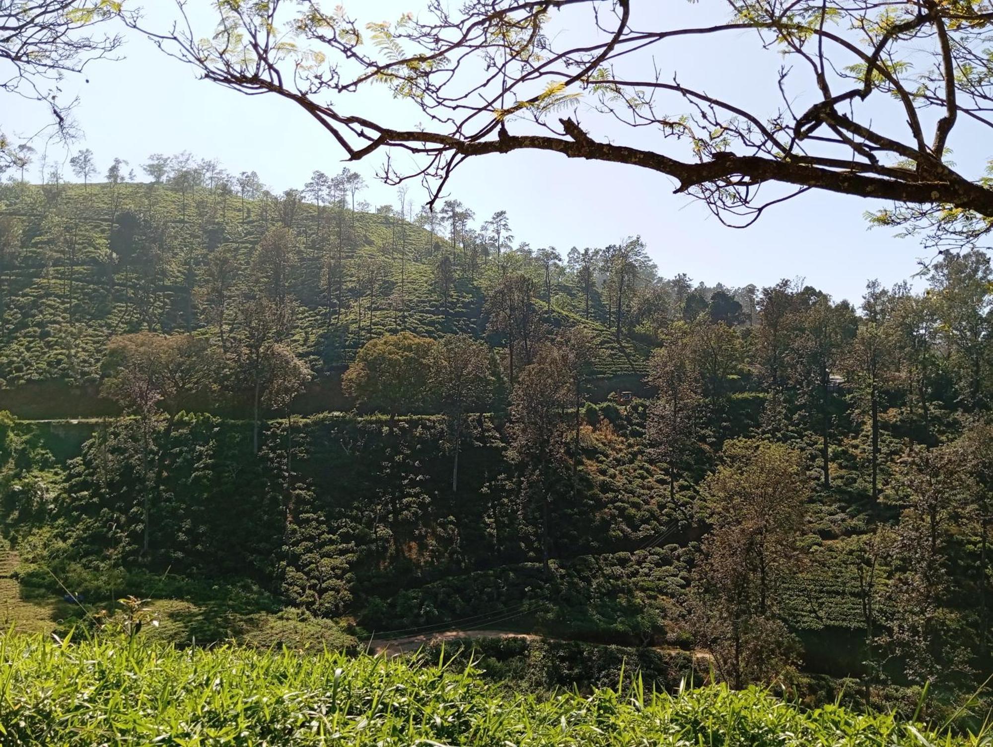 Ella Relax Inn Luaran gambar