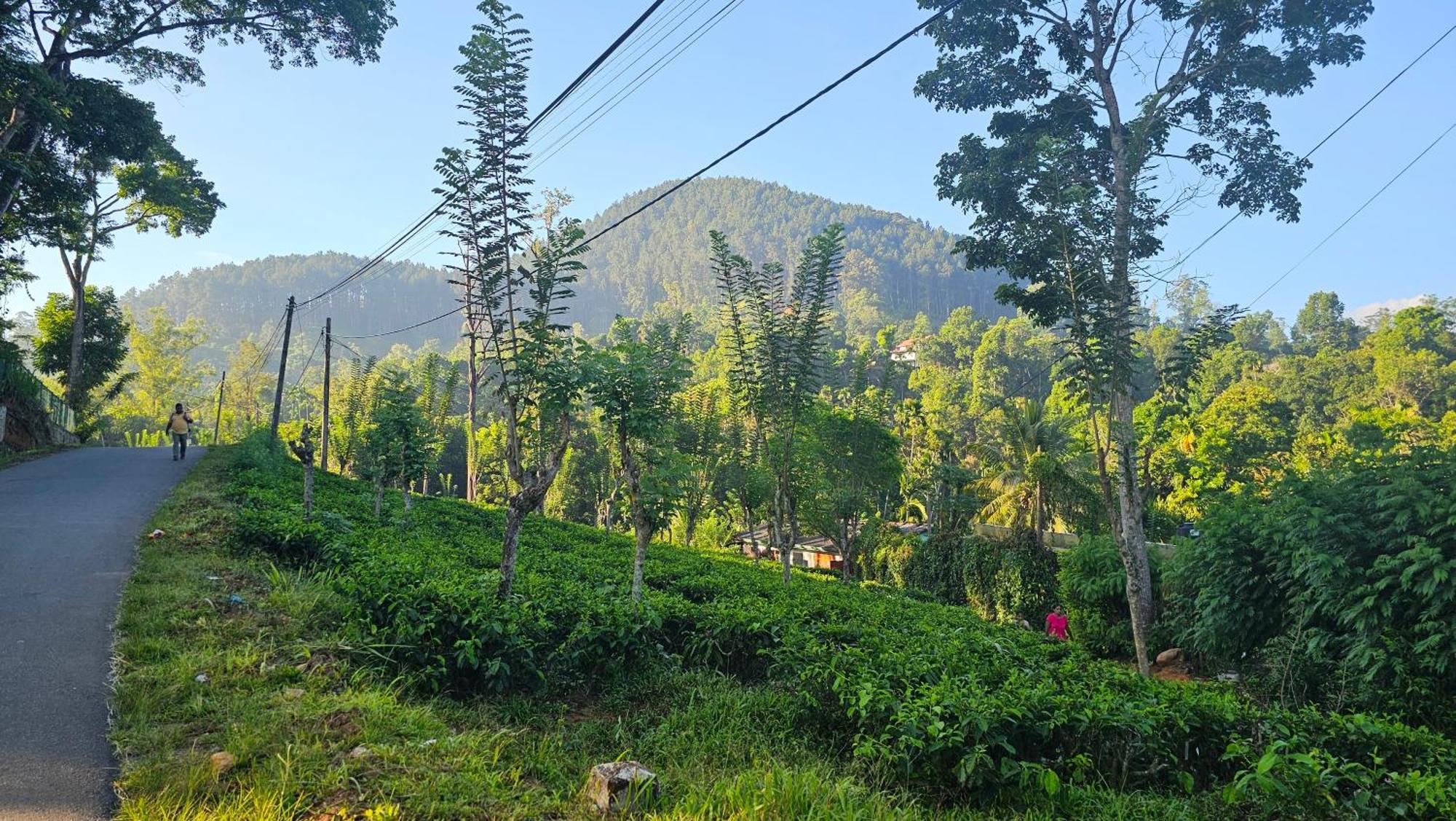 Ella Relax Inn Luaran gambar