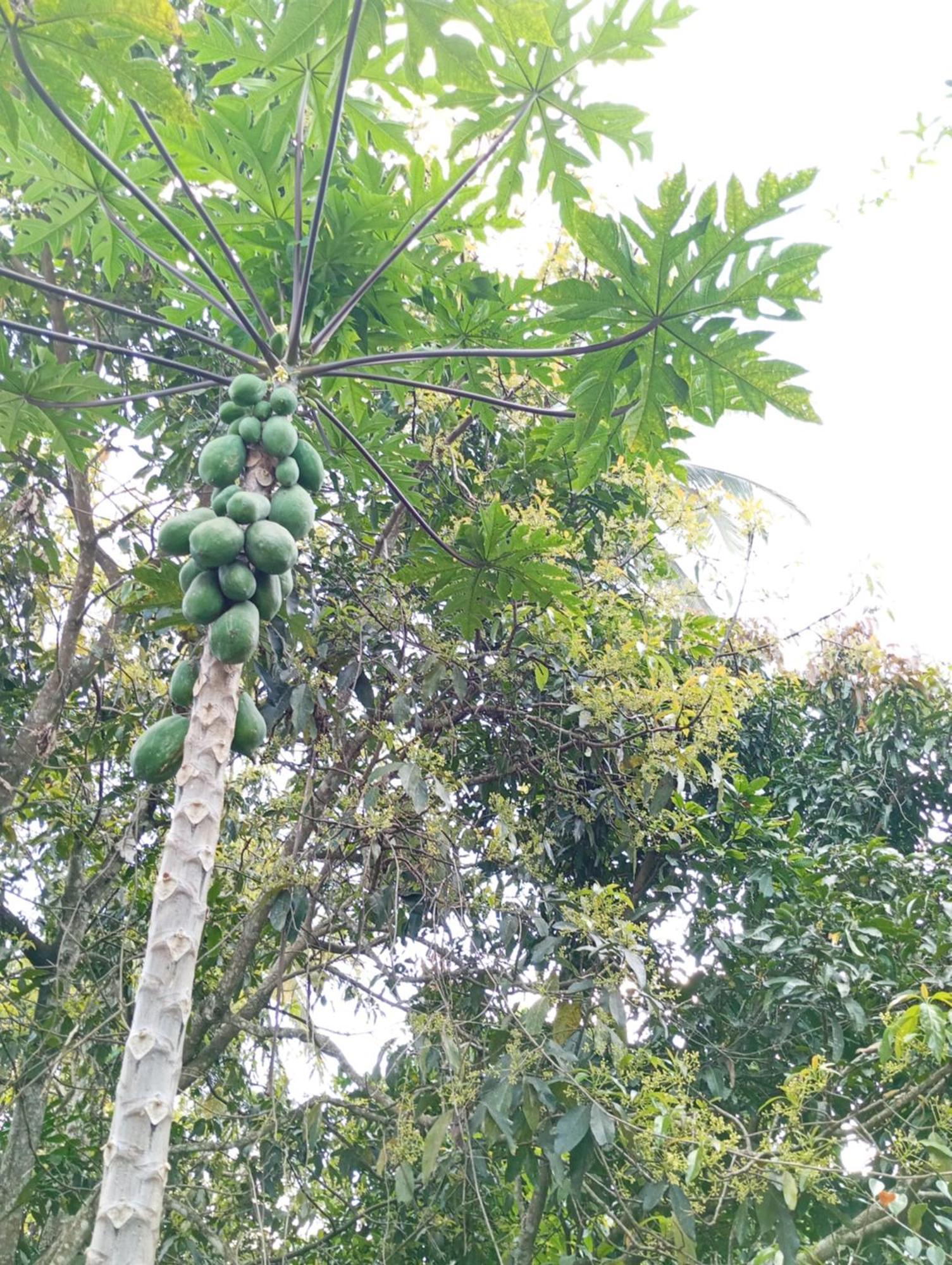Ella Relax Inn Luaran gambar