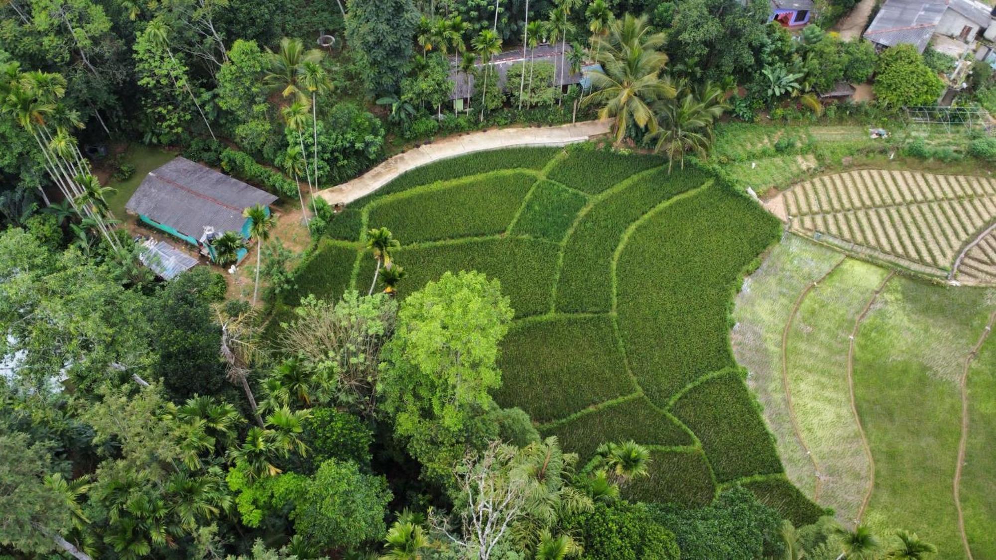 Ella Relax Inn Luaran gambar